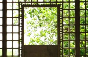 ‘Comedians in Bars’, ‘Dispatch’ lideram a nova lista de não-ficção da Avani Films (EXCLUSIVO) 'Comedians in Bars', 'Dispatch' lideram a nova lista de não-ficção da Avani Films (EXCLUSIVO)