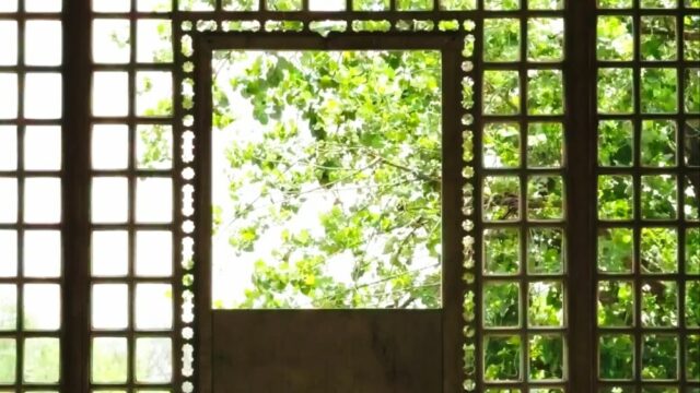 'Comedians in Bars', 'Dispatch' lideram a nova lista de não-ficção da Avani Films (EXCLUSIVO)
