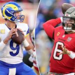 logotipo de fantasia azarão