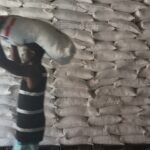 Como os cortes de financiamento da era Trump colocam em risco os esforços para capacitar os agricultores do Haiti