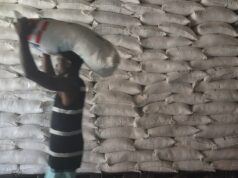 Como os cortes de financiamento da era Trump colocam em risco os esforços para capacitar os agricultores do Haiti Como os cortes de financiamento da era Trump colocam em risco os esforços para capacitar os agricultores do Haiti