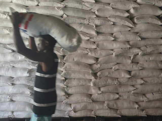 Como os cortes de financiamento da era Trump colocam em risco os esforços para capacitar os agricultores do Haiti
