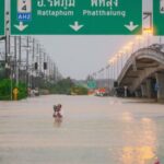 Como resultado das enchentes na Tailândia, 10 esportes dos Jogos SEA de 2025 foram transferidos para Bangkok