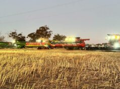 Comunidade Wheatbelt se une para colher canola por uma causa nobre Comunidade Wheatbelt se une para colher canola por uma causa nobre