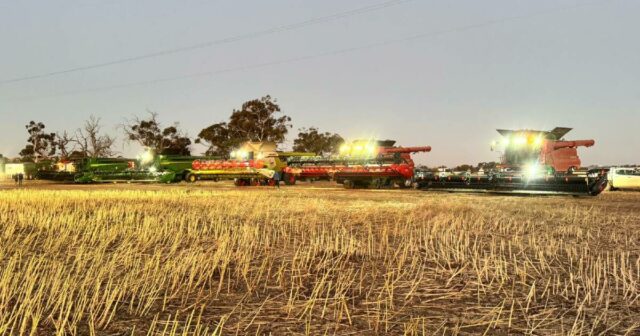 Comunidade Wheatbelt se une para colher canola por uma causa nobre
