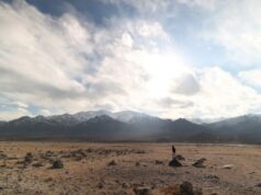 Conselho de produtores franceses de ‘Wolf Dog’ WAVES Film Bazaar Ladakhi Project ‘Idiot’ Conselho de produtores franceses de 'Wolf Dog' WAVES Film Bazaar Ladakhi Project 'Idiot'