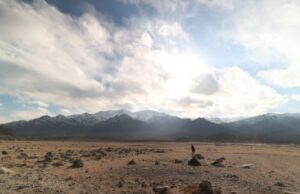 Conselho de produtores franceses de ‘Wolf Dog’ WAVES Film Bazaar Ladakhi Project ‘Idiot’ Conselho de produtores franceses de 'Wolf Dog' WAVES Film Bazaar Ladakhi Project 'Idiot'