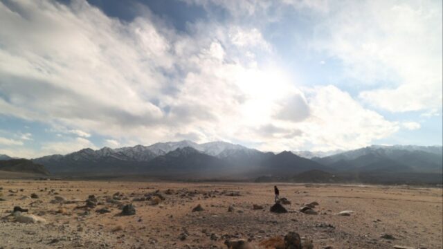 Conselho de produtores franceses de 'Wolf Dog' WAVES Film Bazaar Ladakhi Project 'Idiot'
