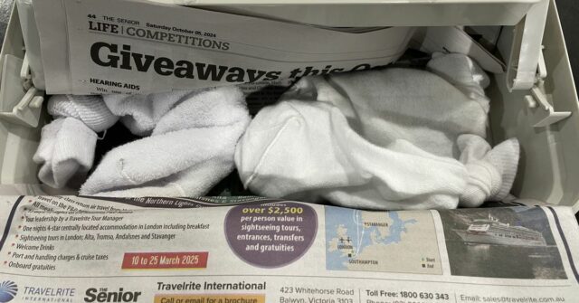 Os répteis foram contidos em meias e escondidos em botas de trabalho, caixas de equipamento e bolsas de cosméticos.