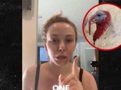 Courtney Stodden diz que se sente como um peru que não foi perdoado Courtney-stodden-cal-26-11-2025