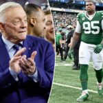 logotipo de fantasia azarão