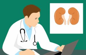 Cuidados conservadores versus diálise: modelo mostra o que é melhor para pacientes com doença renal crônica avançada rim