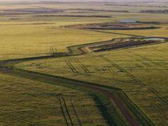 Cultivo em larga escala e pecuária em região de alta pluviosidade | Vídeo Cultivo em larga escala e pecuária em região de alta pluviosidade | Vídeo
