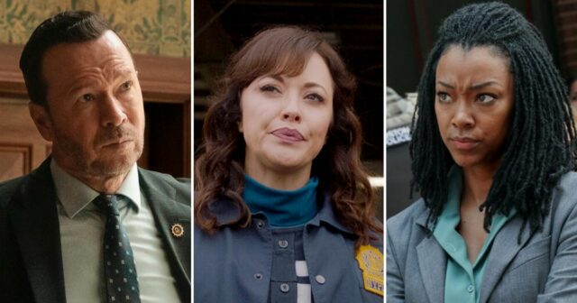 Linha do tempo do relacionamento de Danny Reagan e Maria Baez Blue Bloods Boston Blue