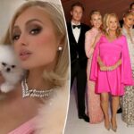'Delirante' Paris Hilton criticada por fãs por alegar que ela foi 'feita por si mesma'