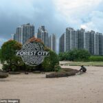 Forest City foi desenvolvida pela empresa chinesa Country Garden, seu projeto Belt and Road Initiative, iniciado em 2016