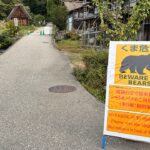 Departamento de Estado alerta americanos no Japão enquanto ataques mortais de ursos matam 13 pessoas desde abril: ‘Seja diligente’