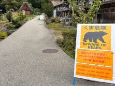 Departamento de Estado alerta americanos no Japão enquanto ataques mortais de ursos matam 13 pessoas desde abril: ‘Seja diligente’ Departamento de Estado alerta americanos no Japão enquanto ataques mortais de ursos matam 13 pessoas desde abril: ‘Seja diligente’