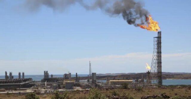 O trabalhista Ed Husic juntou-se aos apelos por uma mudança no mercado de gás da Austrália.