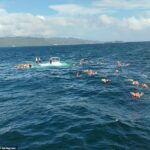 Cerca de 55 turistas participavam de uma atividade de navegação como parte de seu cruzeiro de férias no sábado na República Dominicana, antes do incidente ocorrer.