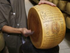 Diga queijo: Parmigiano Reggiano está supostamente tentando entrar no cinema e na TV Diga queijo: Parmigiano Reggiano está supostamente tentando entrar no cinema e na TV