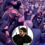 Dillon Danis foi banido dos eventos do UFC para sempre após iniciar uma briga selvagem com MSG