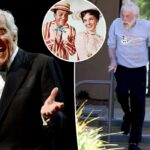 'Diminuído' Dick Van Dyke compartilha sobre atualizações de saúde antes de seu 100º aniversário