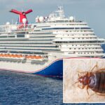 Dois passageiros processam a Carnival Cruise Line alegando que acordaram com mais de 30 picadas de percevejos