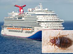 Dois passageiros processam a Carnival Cruise Line alegando que acordaram com mais de 30 picadas de percevejos Dois passageiros processam a Carnival Cruise Line alegando que acordaram com mais de 30 picadas de percevejos