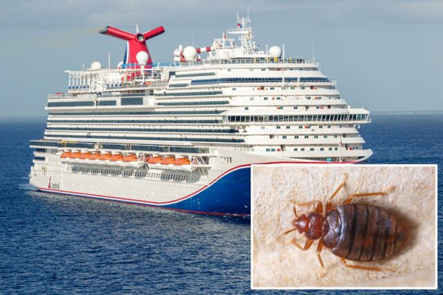 Dois passageiros processam a Carnival Cruise Line alegando que acordaram Dois passageiros processam a Carnival Cruise Line alegando que acordaram com mais de 30 picadas de percevejos