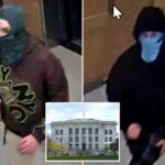 Dois suspeitos presos em conexão com a explosão da Harvard Medical School