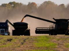 Donald Trump apresenta potencial ‘surpresa’ após negociações comerciais com Xi da China Donald Trump apresenta potencial ‘surpresa’ após negociações comerciais com Xi da China