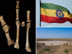Dono misterioso de pé fossilizado de 3 milhões de anos na África é identificado: estudo Dono misterioso de pé fossilizado de 3 milhões de anos na África é identificado: estudo