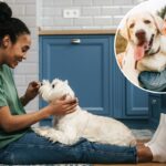 Donos de cães juram que a personalidade de seus animais de estimação reflete a sua: pesquisa