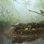 Reconstrução virtual do paleoecossistema Murgon durante o início do eoceno, 55 milhões de anos.