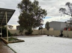 Edgecombes contabiliza o custo de 100 mm de chuva em suas colheitas prontas para colheita Edgecombes contabiliza o custo de 100 mm de chuva em suas colheitas prontas para colheita