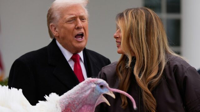 'Ele é um grande desleixado': Trump injeta seu próprio tipo Trump com a primeira-dama Melania Trump. O presidente dos EUA usou seu próprio tipo de humor ao perdoar Gobble – um pássaro de 23,5 kg da Carolina do Norte.
