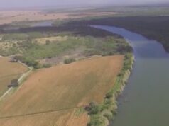 Eleitores do Texas aprovam emendas constitucionais | Manhã na América Yahoo news home