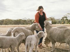 Espaço aberto, estrelas brilhantes e uma experiência rural são fatores-chave para os turistas Espaço aberto, estrelas brilhantes e uma experiência rural são fatores-chave para os turistas