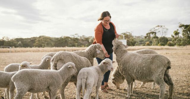 Espaço aberto, estrelas brilhantes e uma experiência rural são fatores-chave para os turistas
