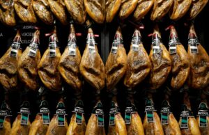 Espanha relata primeiro caso de peste suína em três décadas, comprometendo exportações para a China Yahoo news home