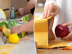 Esposa que cuida de filho deficiente se recusa a levar o almoço do marido ‘perfeitamente capaz’, gerando debate online Notícias da raposa