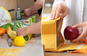 Esposa que cuida de filho deficiente se recusa a levar o almoço do marido ‘perfeitamente capaz’, gerando debate online Notícias da raposa
