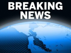 Esquadrão anti-bombas e equipe de materiais perigosos chamados à cidade de East Bay quando ‘itens preocupantes’ foram encontrados Esquadrão anti-bombas e equipe de materiais perigosos chamados à cidade de East Bay quando 'itens preocupantes' foram encontrados