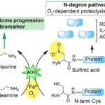 Diagrama de ação do câncer