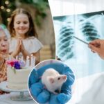 Esta é a idade em que as taxas de câncer se estabilizam e realmente caem