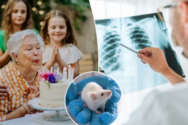 Esta é a idade em que as taxas de câncer Esta é a idade em que as taxas de câncer se estabilizam e realmente caem