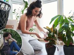 Esta é a melhor quantidade de plantas de interior para o bem-estar – e quanto é demais Esta é a melhor quantidade de plantas de interior para o bem-estar – e quanto é demais