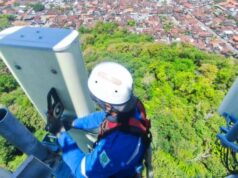 Esta é a situação financeira da XLSmart pós-fusão Esta é a situação financeira da XLSmart pós-fusão