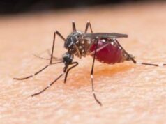 Estação chuvosa, cuidado com DHF, saúde BPJS: pode ser consultada! Estação chuvosa, cuidado com DHF, saúde BPJS: pode ser consultada!